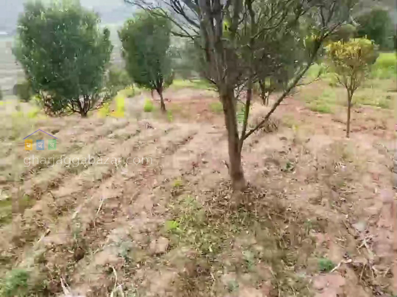 Land for Farming at Panauti