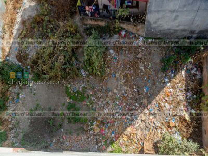 Land on Sale at Gangabu