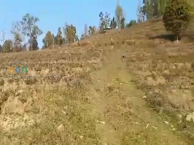 Land for Agriculture at Kawasoti