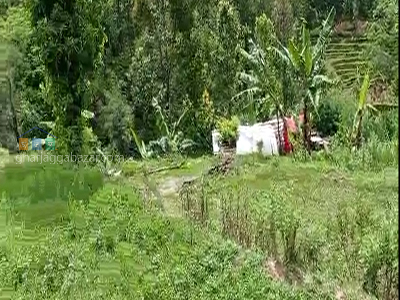 Land for Agriculture at Shivalaya Nuwakot
