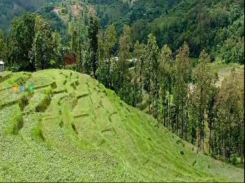 Land for Agriculture at Shivalaya Nuwakot