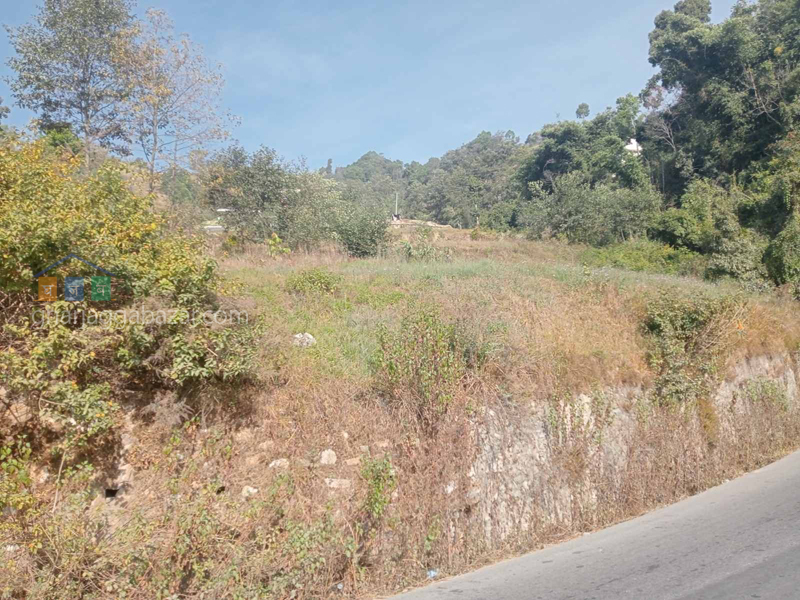 Land on Sale at Tinpiple