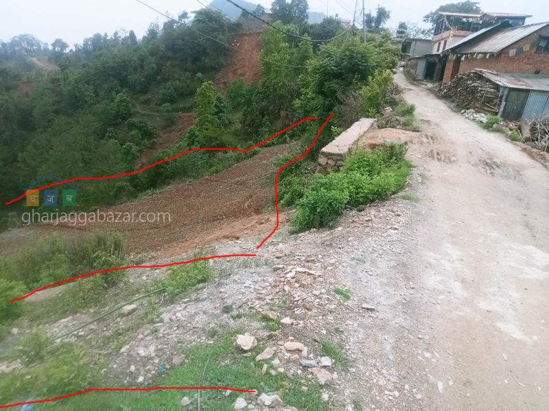 Land on Sale at Chhampi