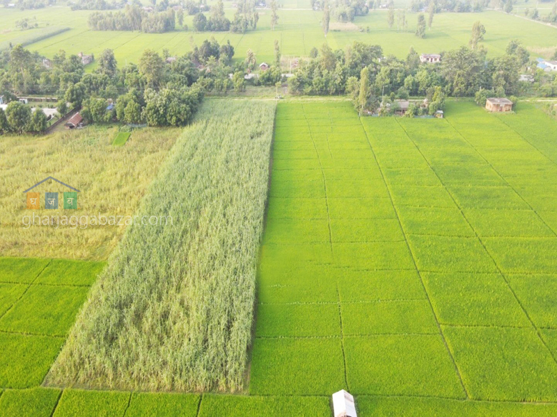 Land for Housing at Bhurigaun Bardiya