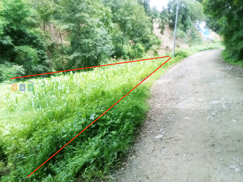 Land on Sale at Chapagaun