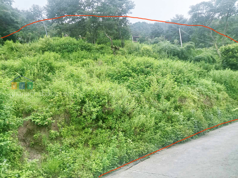 Land on Sale at Narayanthan Height
