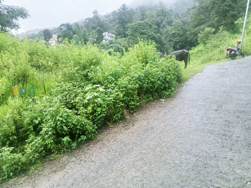 Land on Sale at Narayanthan Bisnumati