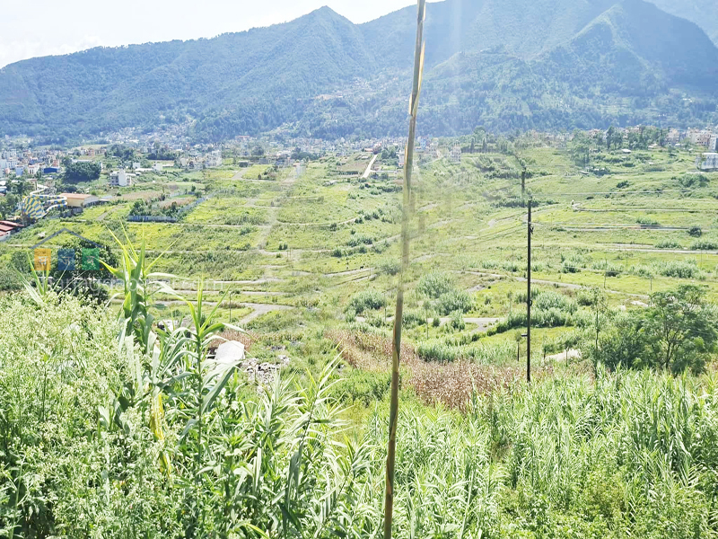 Land for Housing at Chobhar Kirtipur