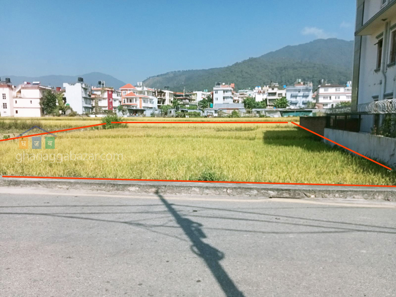 Land on Sale at Pasikot