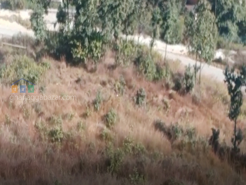 Land for Hotel Resort on Sale at Syuchatar Height