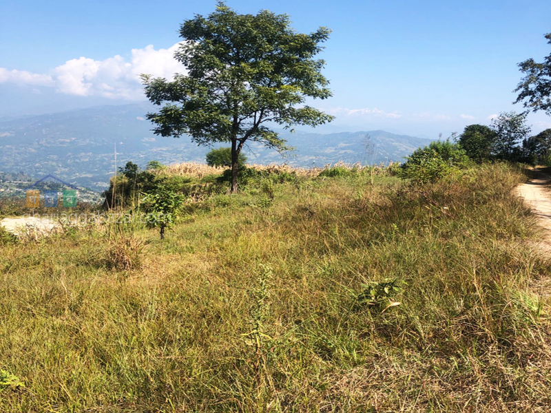 Land on Sale at Jarsing Pauwa