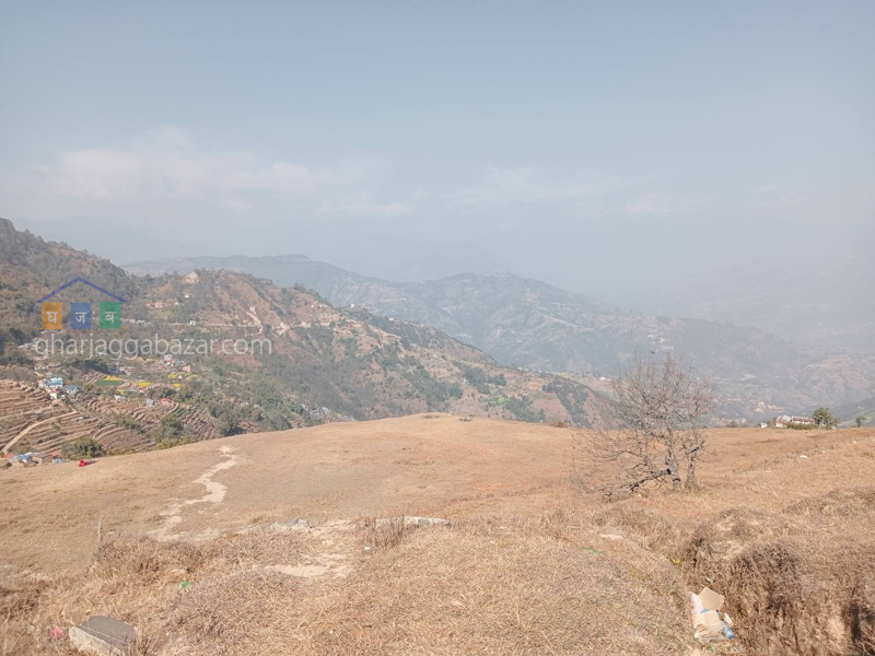 Land on Sale at Jarsing Pauwa