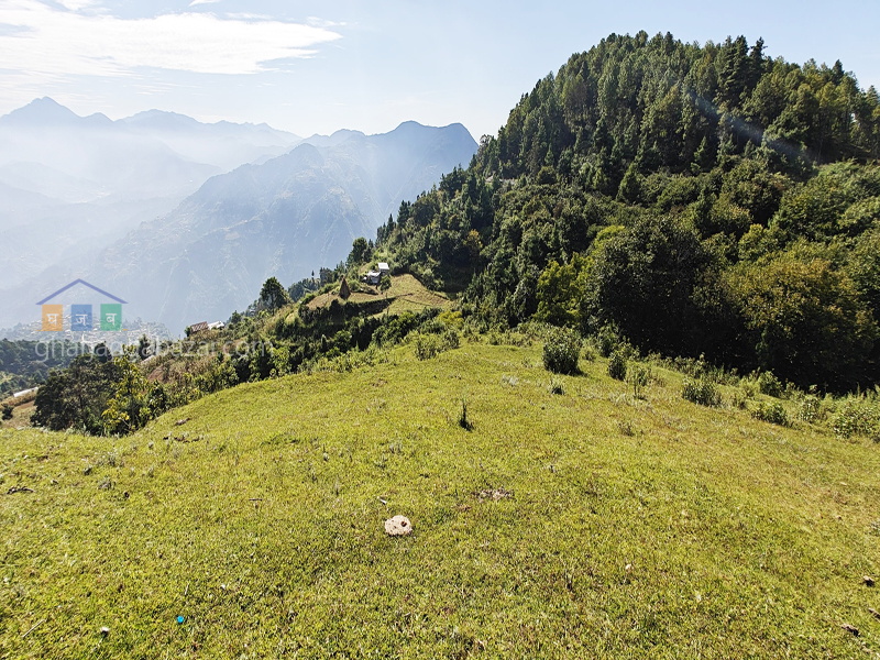 Land for Hotel Resort on Sale at Chaimale