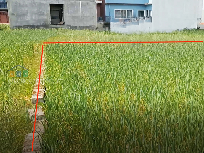 Land on Sale at Mulpani