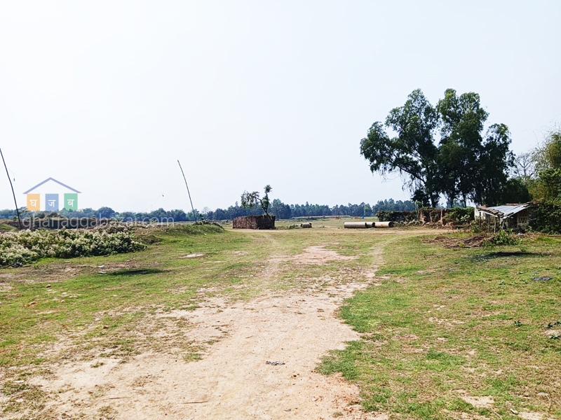 Land on Sale at Biratnagar Lakhantari