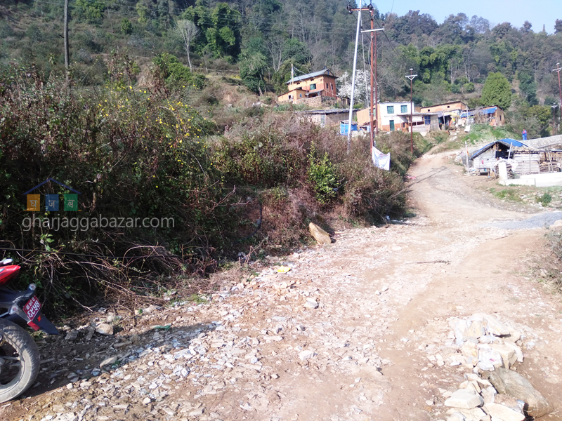 Land for Plotting at Kirtipur Machhegaun