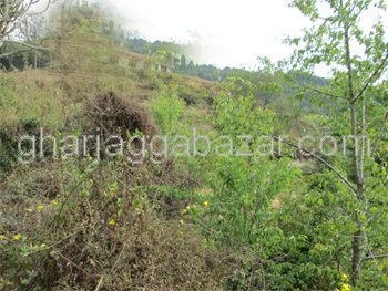Urban Land on Sale at Nagarkot