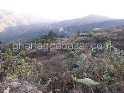 Land on Sale at Thingan