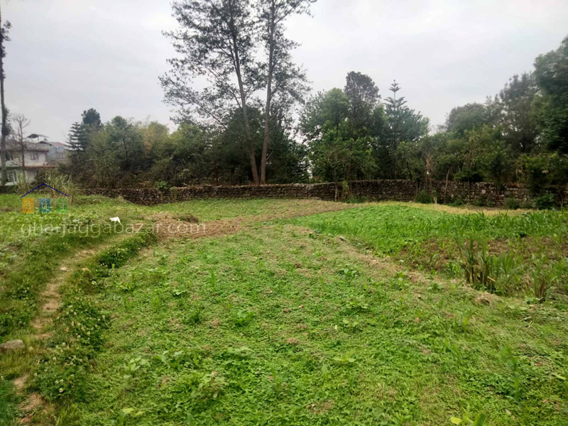 Land on Sale at Narayanthan Height