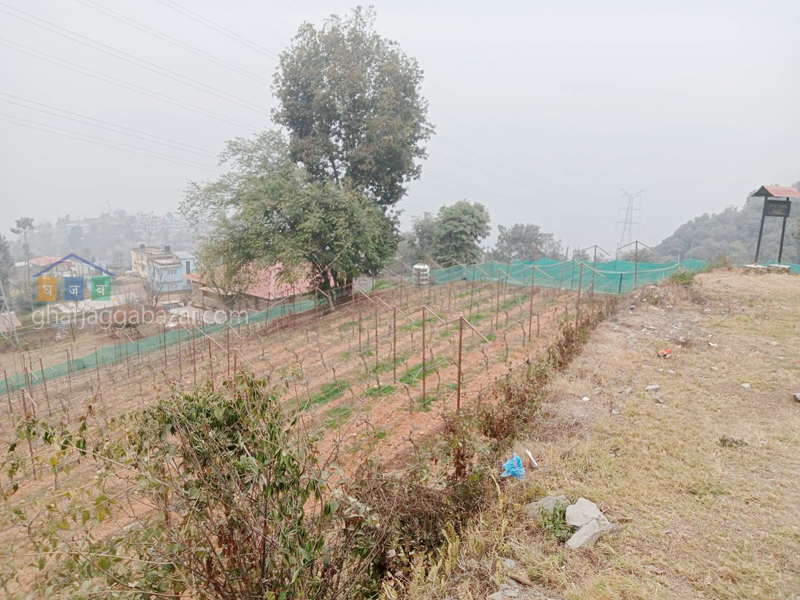 Hotel Resort on Sale at Thankot Baad Bhanjyang