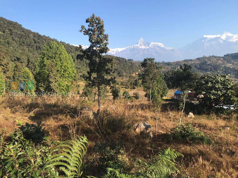 Land on Sale at Pumdi Bhumdi