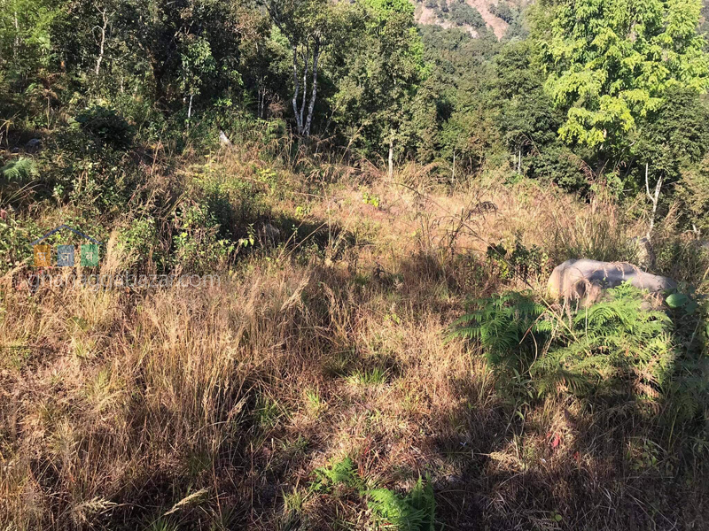 Land on Sale at Pumdi Bhumdi