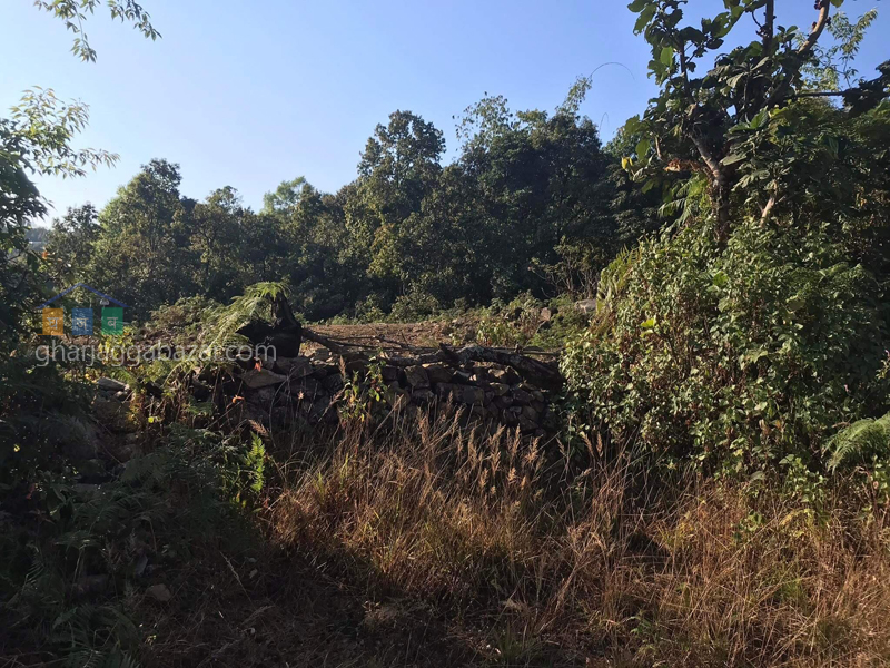 Land on Sale at Pumdi Bhumdi