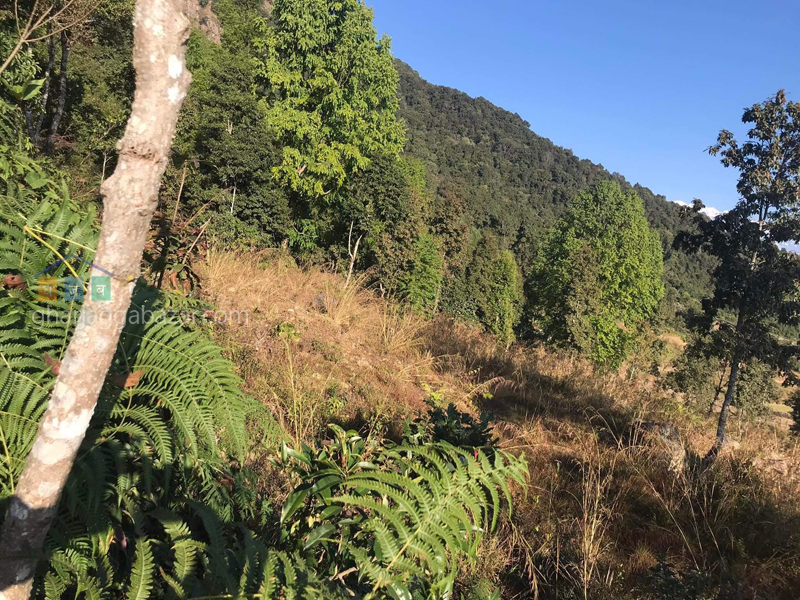 Land on Sale at Pumdi Bhumdi
