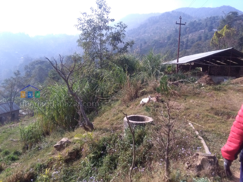 Farm House/Land on Sale at Kakani