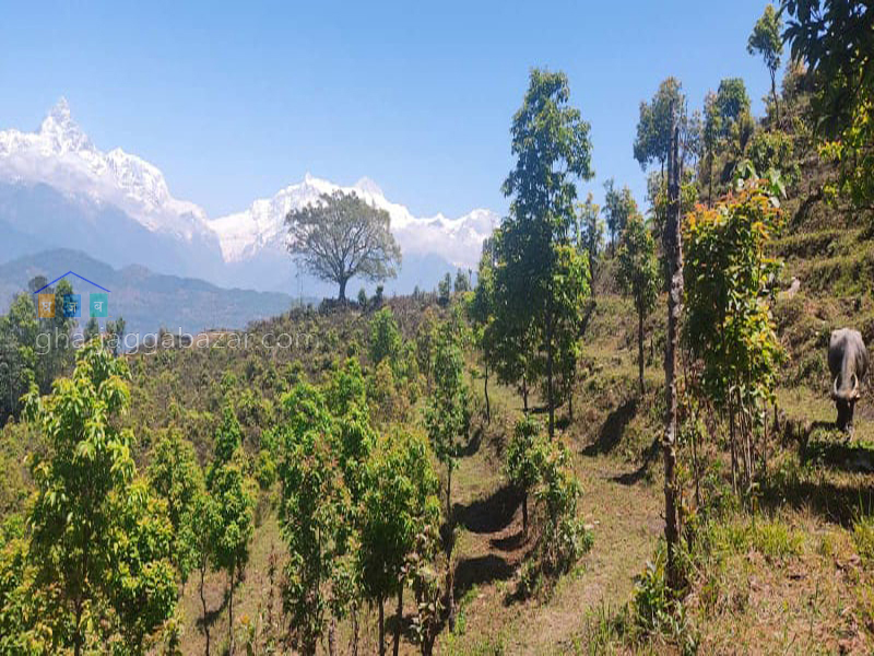 Land on Sale at Pumdi Bhumdi