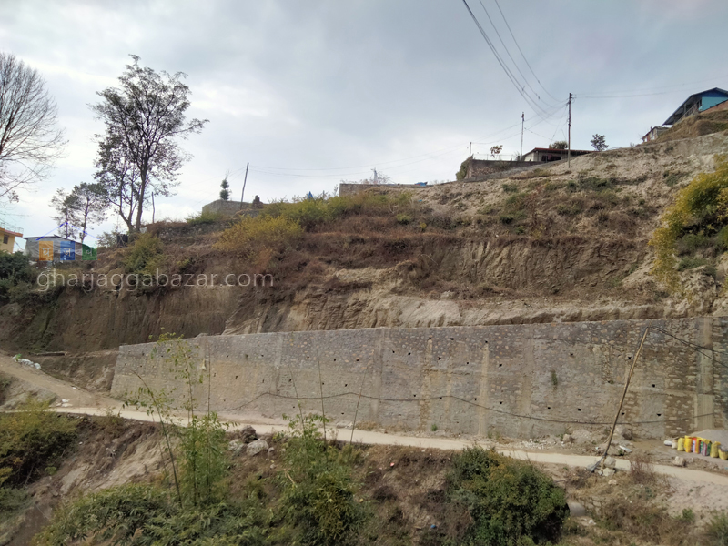 Land on Sale at Narayanthan