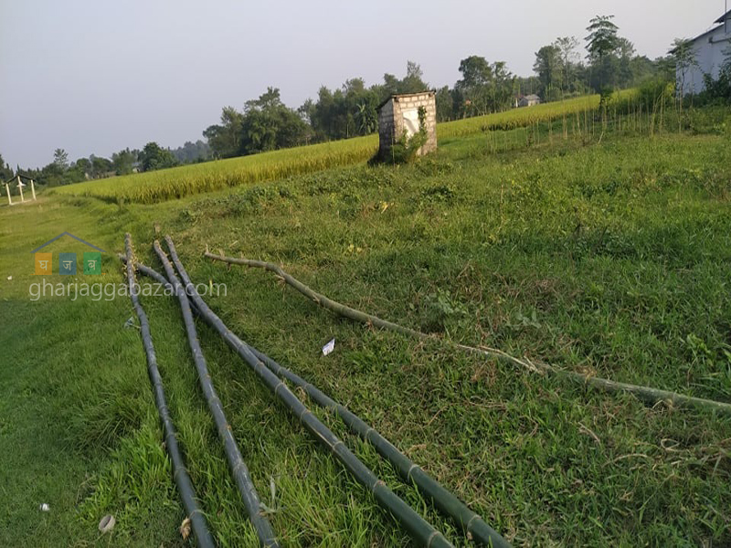 Land on Sale at Kawasoti