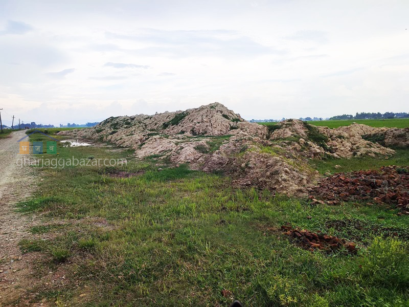 Land on Sale at Kolhabi, Bara