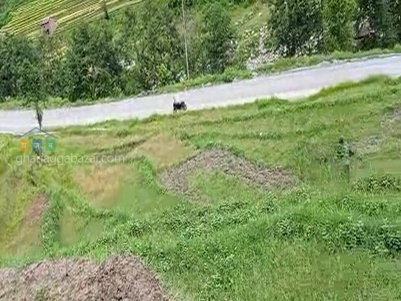 Land for Agriculture at Shivalaya Nuwakot