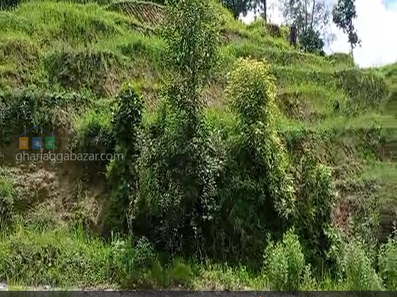 Land for Agriculture at Shivalaya Nuwakot