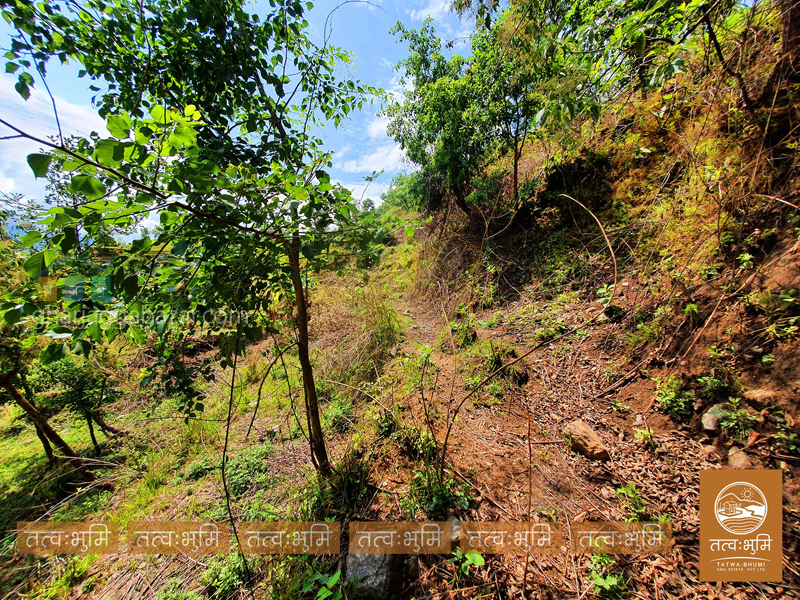 Land on Sale at Mulabari Nuwakot