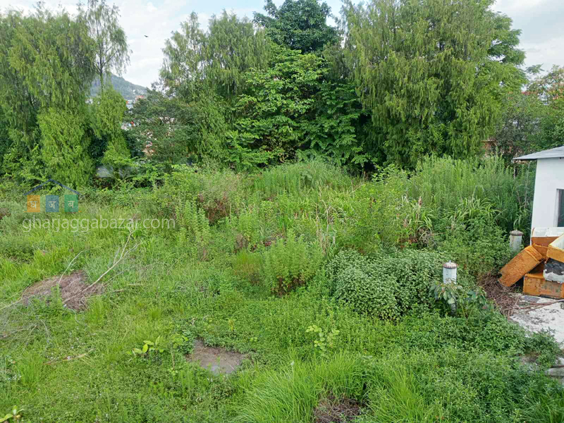 Land on Rent at Chapali Bhangal