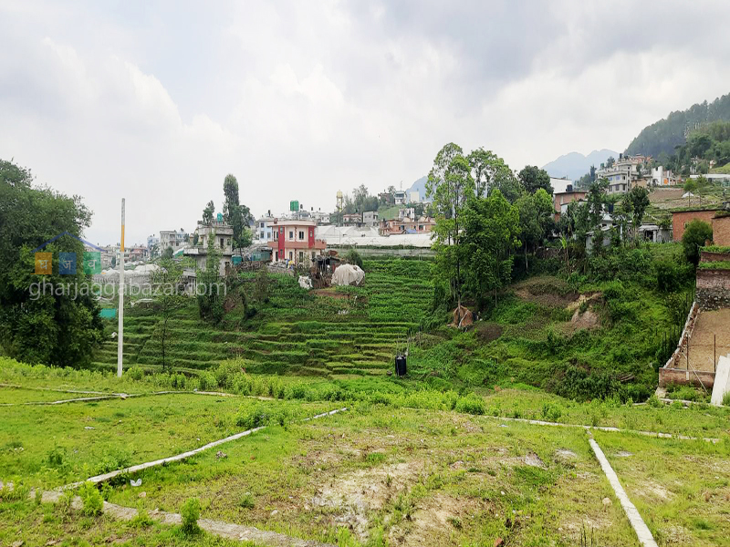 Planning Land on Sale at Jharuwarasi