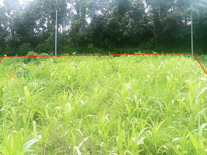 Land on Sale at Chapagaun