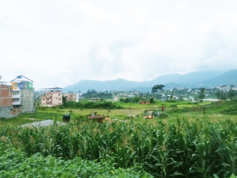 Land on Sale at Thecho