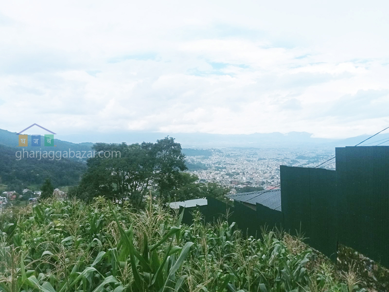 Land on Sale at Narayanthan Height