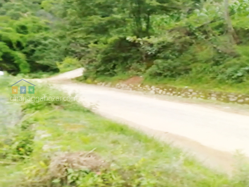Land for Plotting at Godamchaur