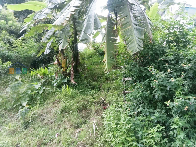 Land on Sale at Mathillo Bhangal