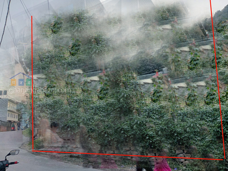 Land on Sale at Raniban Tinghare