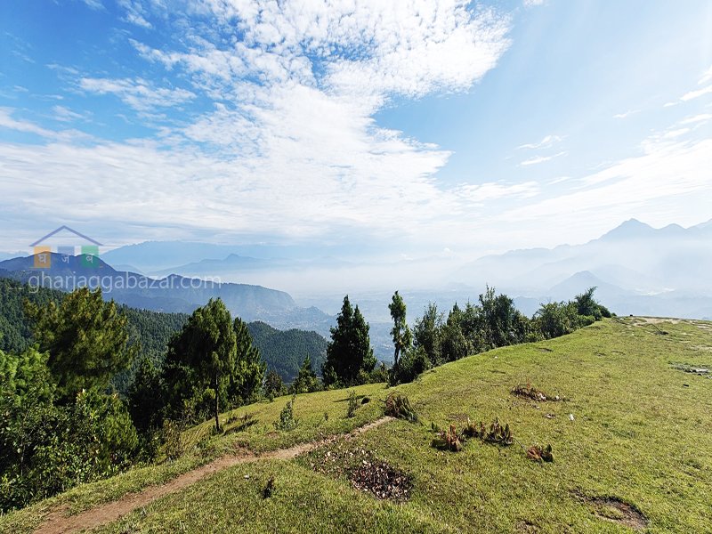 Land for Hotel Resort on Sale at Chaimale