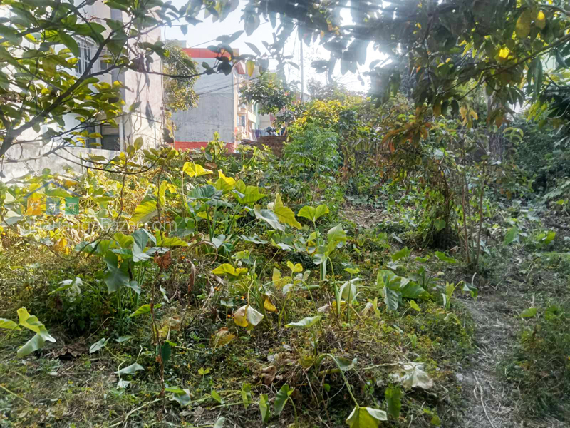 Land on Sale at Chhauni Kimdol