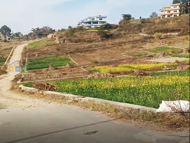 Planning Land on Sale at Sudal