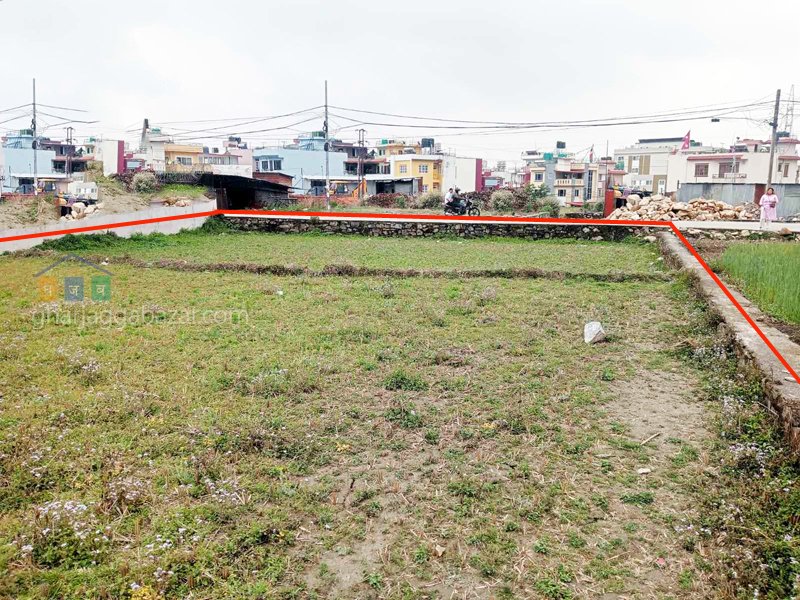 Land on Sale at Pasikot