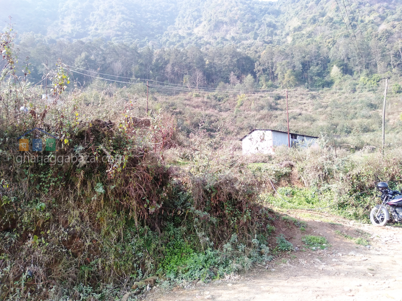 Land for Plotting at Kirtipur Machhegaun