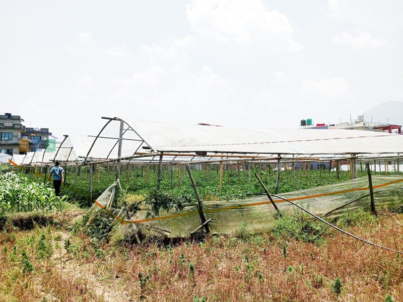 Land on Sale at Balambu